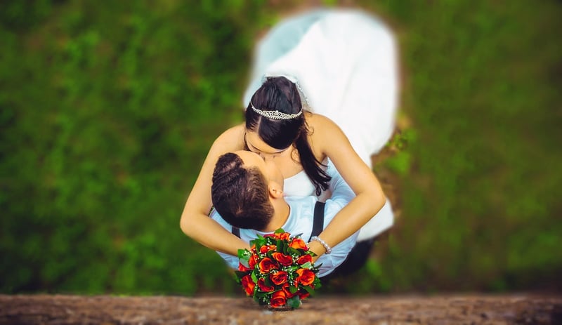 Enchanted Forest Decor